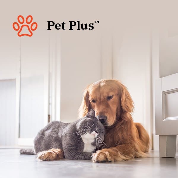 Pet Plus™