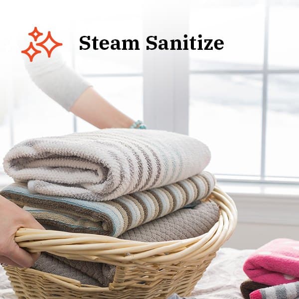 Steam Sanitize